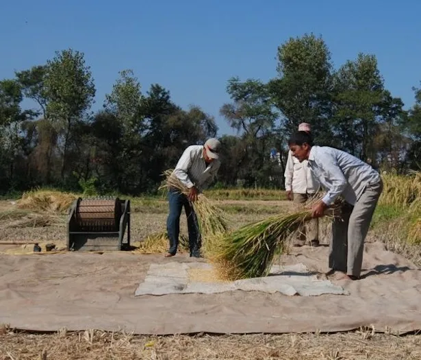 46171 historical threshing machines